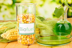Newtake biofuel availability
