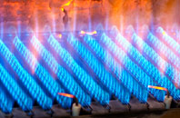 Newtake gas fired boilers